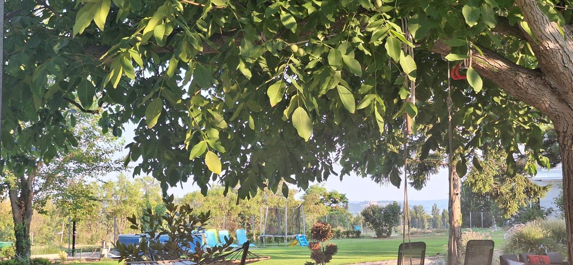 Zam-Zam Apartman Zamárdi Dış mekan fotoğraf